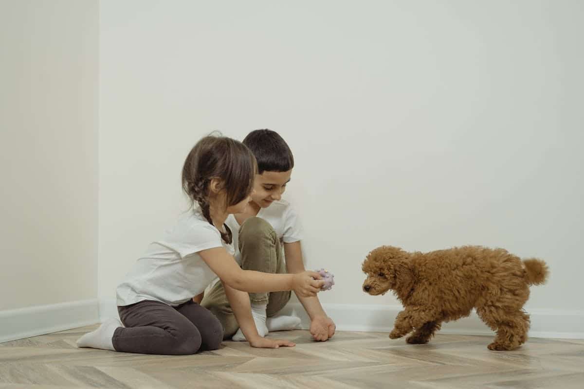 enfants chiens