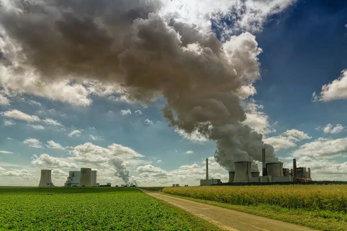 élevage industriel