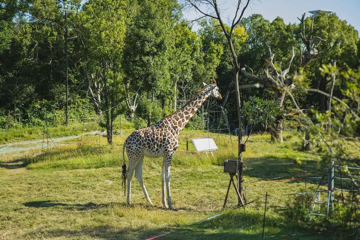 sanctuaire animalier