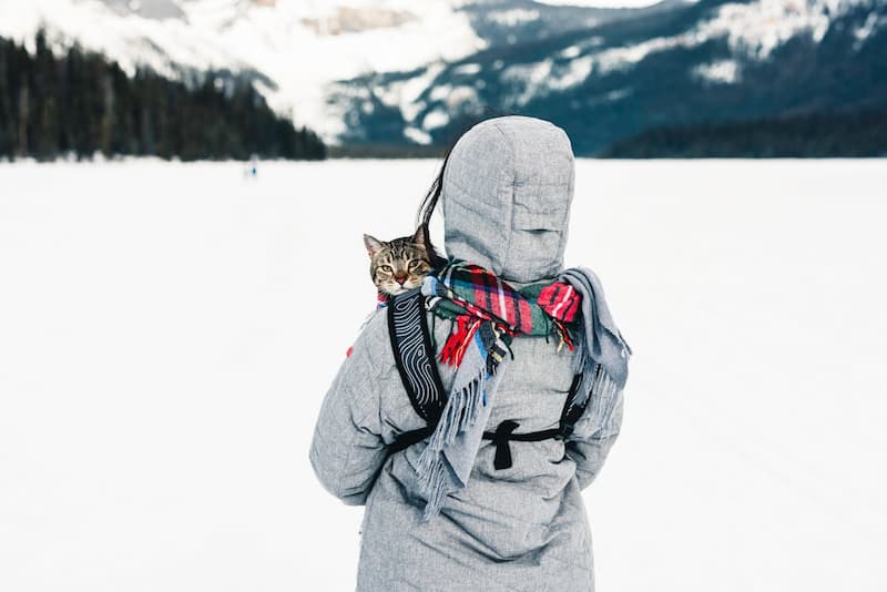 En vacances d'hiver
